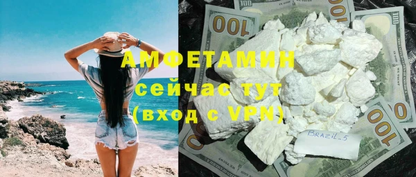 мдпв Вяземский