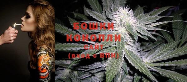 мдпв Вяземский