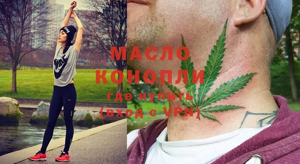 мдпв Вяземский
